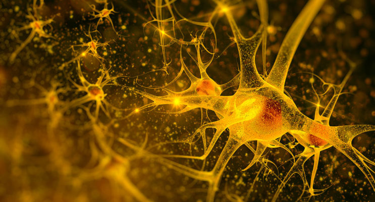 Νευροενδοκρινολογία - Νευρώνας